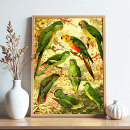 Search for amazonian art Bird