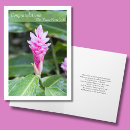 Search for ginger photography Tropical