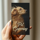 Search for hound business cards Pet sitter