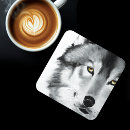 Search for black wolf coasters Wildlife