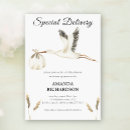 Search for stork delivery baby shower invitations Gender neutral