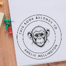 Search for chimp Primate