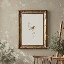 Search for robin art Turdus migratorius