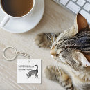 Search for grey cat key rings Tabby