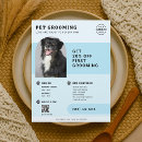 Search for groom Pet grooming