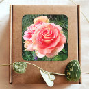 Search for stylish pink roses flowers stickers Botanical