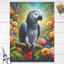 Search for african grey parrot Bird