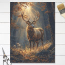 Search for majestic Deer