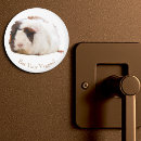 Search for brown white magnets Cute