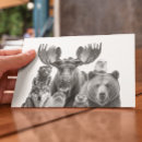 Search for bear postcards Alaska