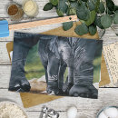 Search for elephant tea towels Wildlife