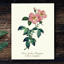 Search for pink rose postcards Classy