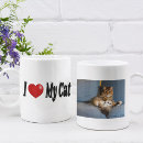 Search for i love cats mugs Kitten