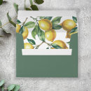 Search for lemon envelopes Summer citrus