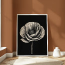 Search for poppy art Botanical illustration
