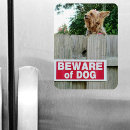 Search for irony magnets Funny