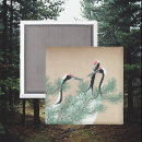 Search for cranes magnets Birds