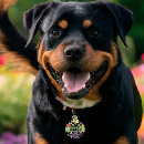 Search for powers pet supplies Daisy