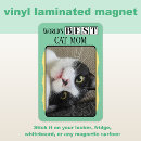 Search for cat magnets Yellow