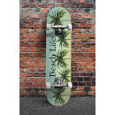 Search for palm skateboards Florida