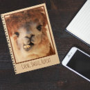 Search for alpaca notebooks Cool