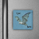 Search for bats magnets Vintage