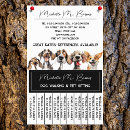 Search for funny flyers Dog walker