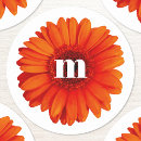 Search for gerbera daisy stickers Flower