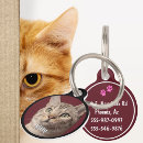 Search for funny dog collars Cats
