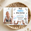 Search for dog bones For kids