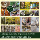 Search for preservation photography Nature