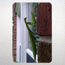 Search for mantis magnets Insect