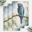 Search for parakeet wrapping paper Parrot