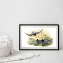 Search for vintage natural history posters Birds