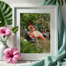 Search for beautiful garden posters Photography
