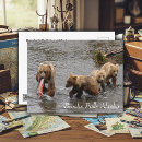 Search for rare postcards Wildlife