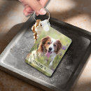 Search for dog rainbow bridge key rings In loving memory