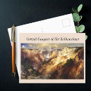 Search for coniferous trees postcards Nature