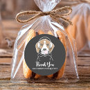Search for beagle dog stickers Doggie