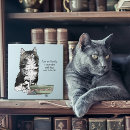 Search for maine coon gifts Tabby