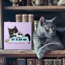 Search for kittens tiles Funny