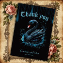 Search for black swan cards Water
