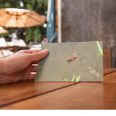 Search for red dragonfly postcards Nature