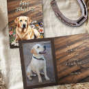 Search for lab” cards Dad