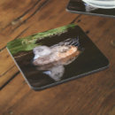 Search for ducks barware Animals