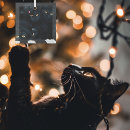 Search for long haired cat christmas tree decorations Cute