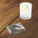 Search for aquatic barware Animals