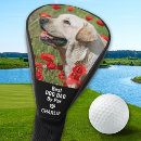 Search for labradors For him