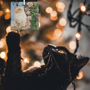 Search for persian cat christmas tree decorations Pink