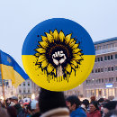 Search for blue flag badges Sunflower